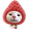 yoshiko_the_cat
