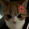 jake_9083