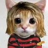 kurt_cobain_gatito