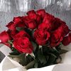 rahfyounes181