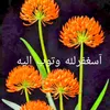 matin.baqi