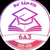 6a3_basan2014