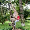 HủHịnhđangnăm4