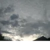 cduynguyn695
