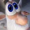 polinarulit0_0