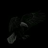 mamed.off00