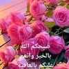 ahmed.aldolemi2