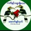 babylay3368