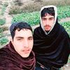 rohullah4954