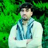 11hamid4