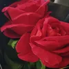 llro.18