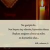 maraz.zeynal