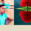 user21213805000806