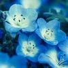 aoi777_777