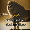 user29074283721264