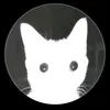 user2245781124576
