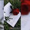 _myqueen_1