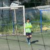 fabobarberena