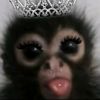 saffy551
