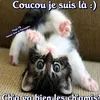 mpmaroucheka