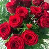 ayse.kaya124