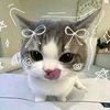 pinmyboy26