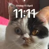 mrmrsfurqto