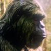 aigreenbigfoot