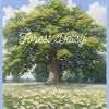 forest_daisy3