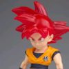 gokusit4