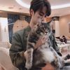 chys_85