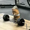 gaeldev5