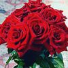 user8042851540980