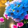 runa__99