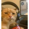 gamerjogadoradeff0