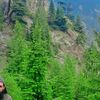 mountainseagle313