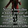 tuamigo542