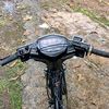 noll_89
