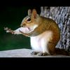 whatawonderfulkindaday7