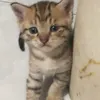 xqn_hugs.08