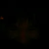 shanthe_eater