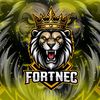 fortnec.team