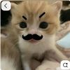 nabilarezika676