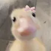 ngthvy1318