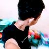 delpin229