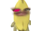 dikoalamsino2._