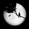 «⇣♯﮼ألـــجـــنـــوبــــي 🏁⤹»