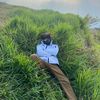 FAWAS