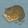 booksbakesandbayleaves