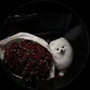 minh.thuong48